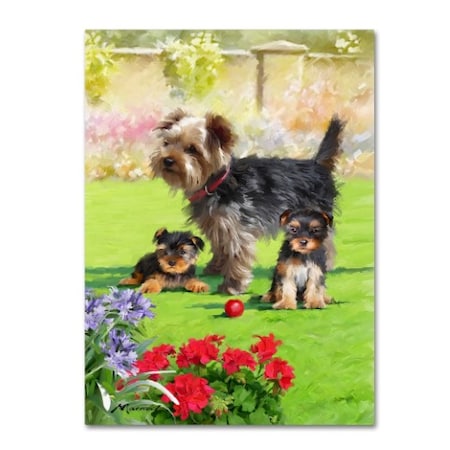 The Macneil Studio 'Yorkie Puppies' Canvas Art,18x24